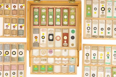 Lot 284 - A Good Selection of Diatom Microscope Slides