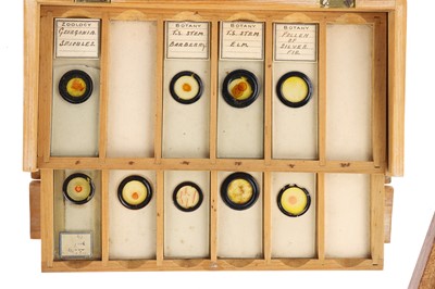 Lot 706 - A Collection of Microscope Slides