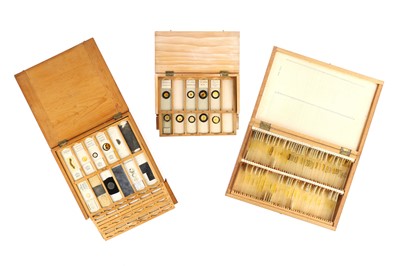 Lot 706 - A Collection of Microscope Slides