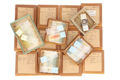 Lot 279 - Large Microscope Slide Set