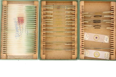 Lot 280 - Large Microscope Slide Set