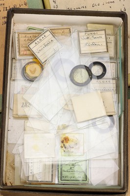 Lot 280 - Large Microscope Slide Set