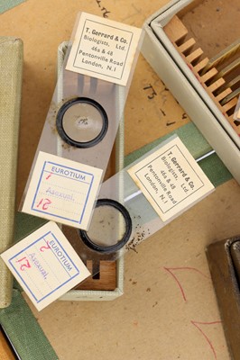 Lot 280 - Large Microscope Slide Set