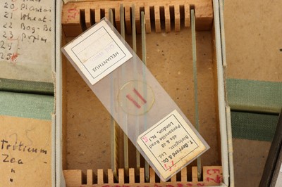 Lot 280 - Large Microscope Slide Set