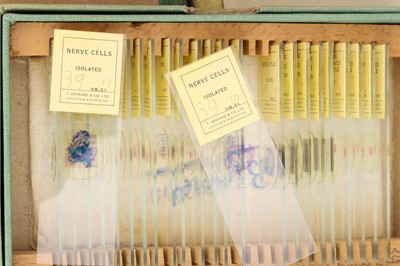 Lot 280 - Large Microscope Slide Set