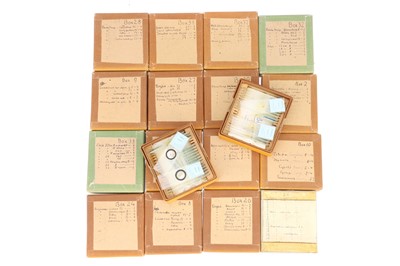 Lot 707 - A Selection of Microscope Slides