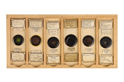 Lot 260 - A Fine Collection of Exhibition & Salon Microscope Slides