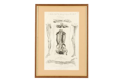 Lot 746 - Eight Framed Antique Medical Prints