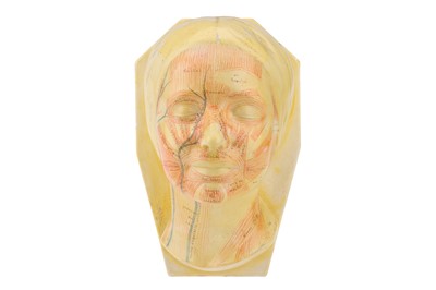 Lot 111 - Didactic Medical Model, Masque d' Etude by  Simonne Laubé