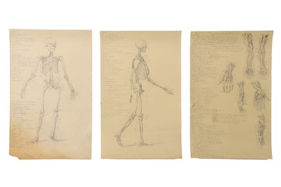 Lot 112 - 3 Fine 19th Century German Anatomical Drawings