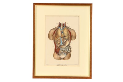 Lot 733 - Six 19th Century Anatomical Prints