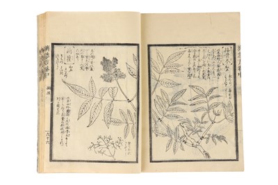 Lot 380 - Medicine – 19th Century Japanese Herbal Medicine Woodblock  Book