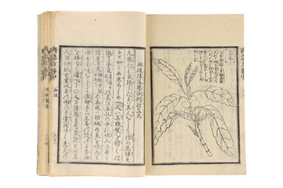 Lot 380 - Medicine – 19th Century Japanese Herbal Medicine Woodblock  Book