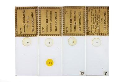 Lot 252 - A Collection of Micro-Photographs each marked A.R.