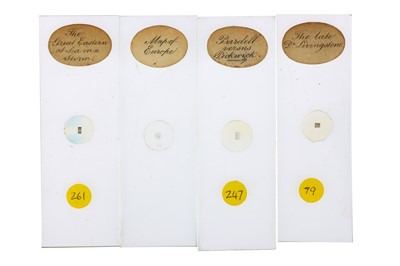Lot 244 - W Watson & Sons, Collection of 16 Microphotographs