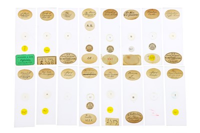 Lot 244 - W Watson & Sons, Collection of 16 Microphotographs