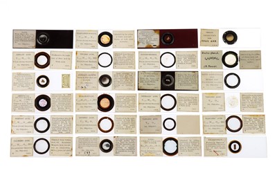 Lot 258 - Dancer, J. B., Collection of 24 Chemical Microscope Slides