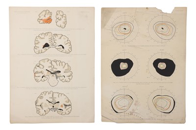 Lot 365 - Medicine - A Small Folio of Medical & Surgical Book Plates