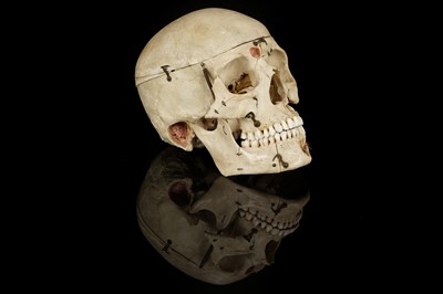 Lot 119 - A Dissected Human Skull