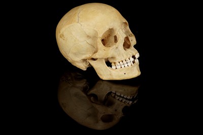 Lot 120 - A Human Skull