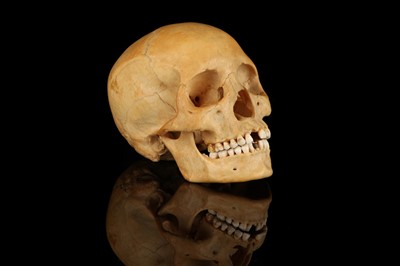 Lot 120 - A Human Skull