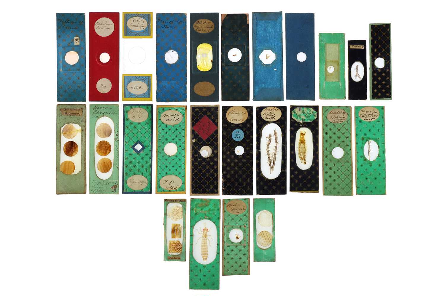 Lot 263 - Topping, C. M,  Collection of Early Microscope Slides
