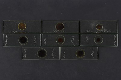 Lot 267 - Topping, C. M.,  Collection of Early Wood Section Microscope Slides