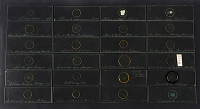 Lot 268 - Topping, C. M.,  Collection of 24 Early Microscope Slides