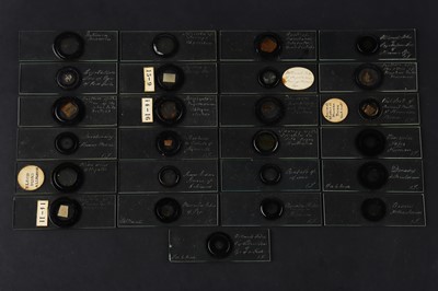 Lot 269 - Topping, C. M.,  Collection of 25 Early Microscope Slides