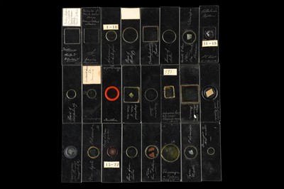 Lot 270 - Collection of Early Microscope Slides