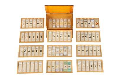 Lot 276 - A Good Collection of Diatom Microscope Slides