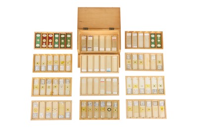 Lot 277 - A Good Collection of Microscope Diatom Slides in 2 Cases