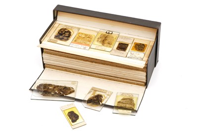 Lot 14 - A Large Collection of Coal Fossil Microscope Slides