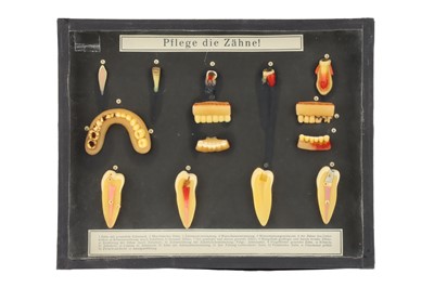 Lot 20 - Antique Wax Models of Teeth