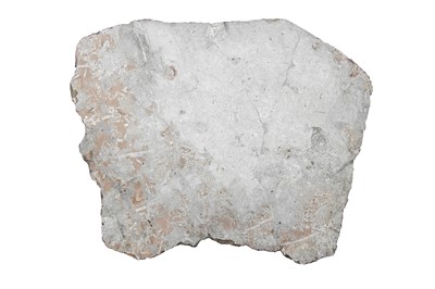 Lot 295 - A Large Crinoid Fossil
