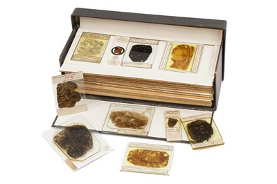 Lot 15 - A Large Collection of Coal Fossil Microscope Slides