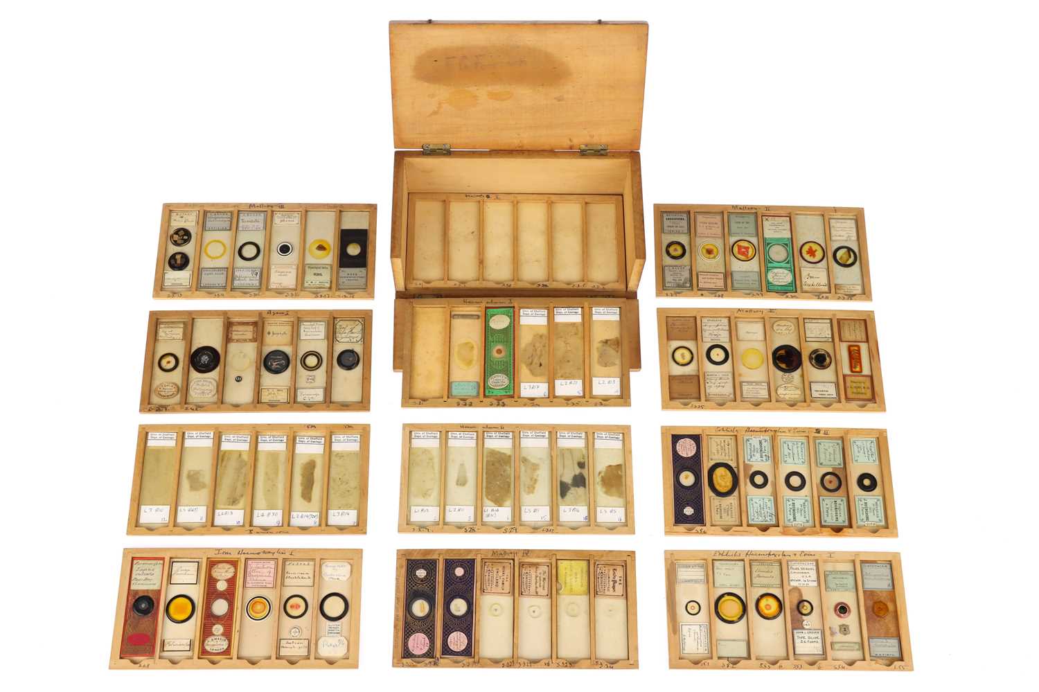Lot 189 - Microscope Slide Collection,