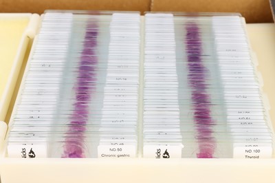 Lot 183 - Large Collection of Microscope Slides