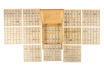 Lot 187 - Collection of Microscope Diatom Slides