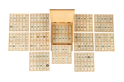 Lot 185 - Collection of Microscope Diatom Slides - Case 2
