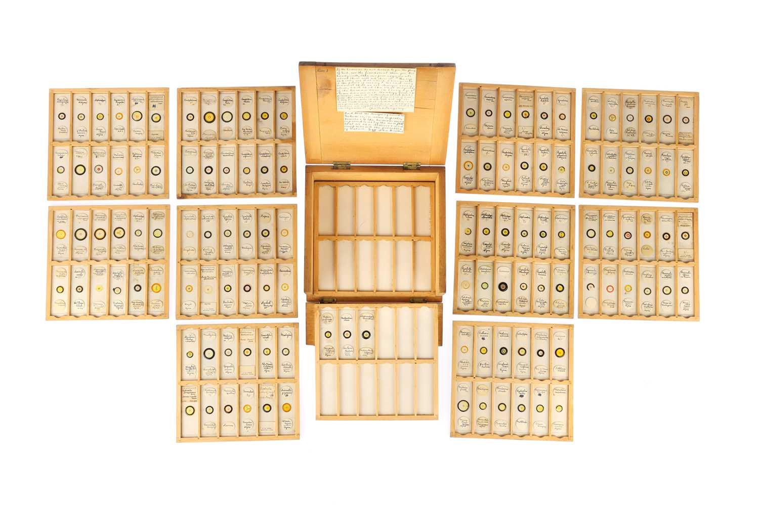 Lot 186 - Collection of Microscope Diatom Slides - Case 3