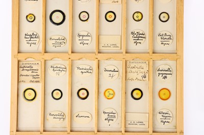Lot 186 - Collection of Microscope Diatom Slides - Case 3