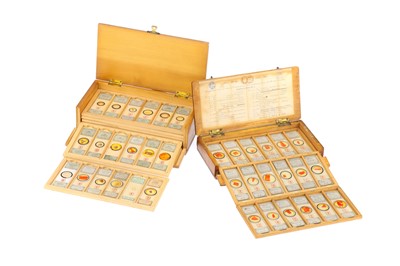 Lot 184 - Collection of Cole Microscope Slides in 2 Cases