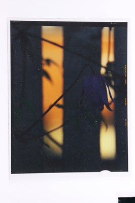 Lot 707 - A Diverse Range of Plate & Film Negatives