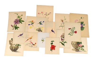 Lot 837 - An Exceptionally finely Painted Collection of Botanical Studies of Flowers, & Birds