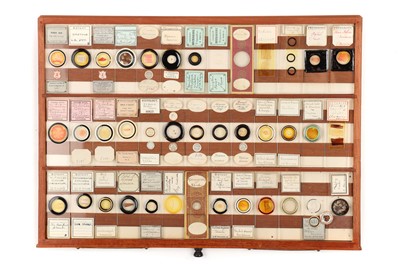 Lot 29 - A Large & Spectacular Collection of Microscope Slides