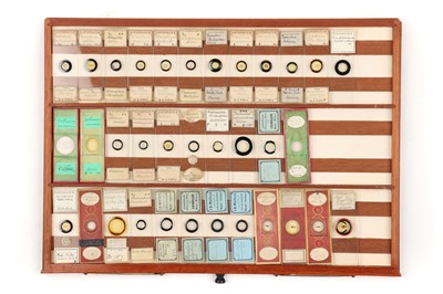 Lot 29 - A Large & Spectacular Collection of Microscope Slides