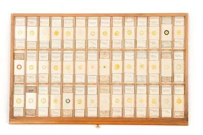 Lot 26 - A Large & Fine Collection of Diatom Microscope Slides