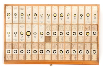 Lot 26 - A Large & Fine Collection of Diatom Microscope Slides