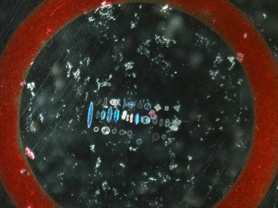 Lot 131 - 4 Microscope Diatom Type Slides